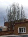 w3P1230755.JPG