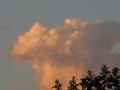 IMG_1829